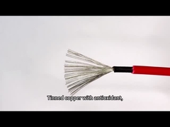 Gelijkstroom schatte Zwarte Rode Zonnepaneelpv Kabel 4mm2 verdubbelt Geïsoleerde Kwaliteitsdraad